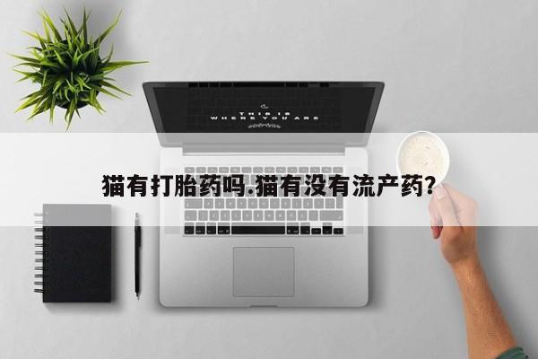 怀孕可以自己买药流吗猫有打胎药吗.猫有没有流产药？