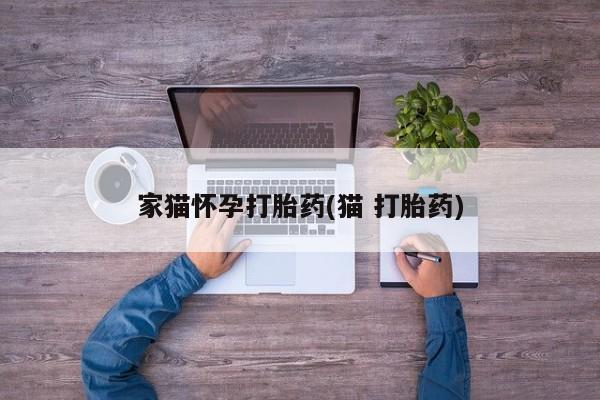怀孕可以自己买药流吗家猫怀孕打胎药(猫 打胎药)